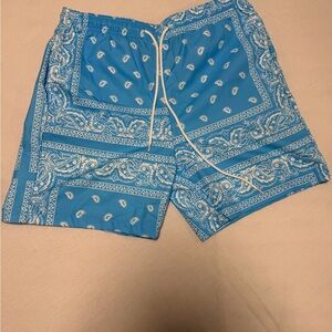 SHEIN Teal Paisley Men's Swim shorts